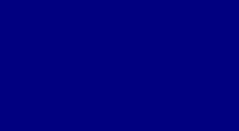 Men Navy Blue
